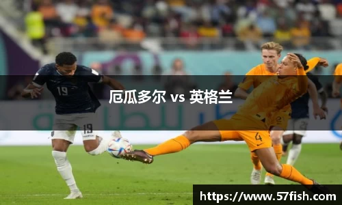 厄瓜多尔 vs 英格兰