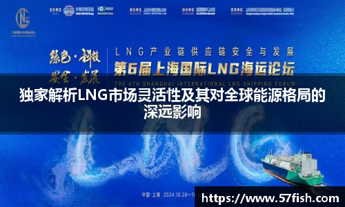 独家解析LNG市场灵活性及其对全球能源格局的深远影响