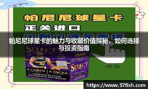 帕尼尼球星卡的魅力与收藏价值探秘，如何选择与投资指南
